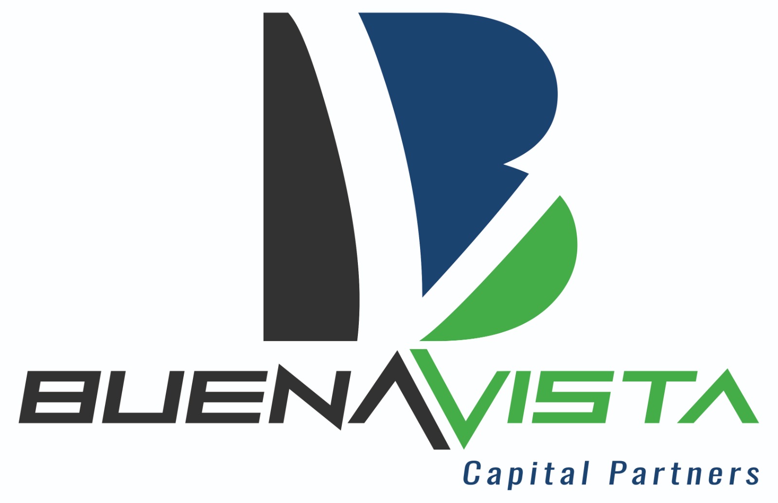 Buena Vista Capital Partners